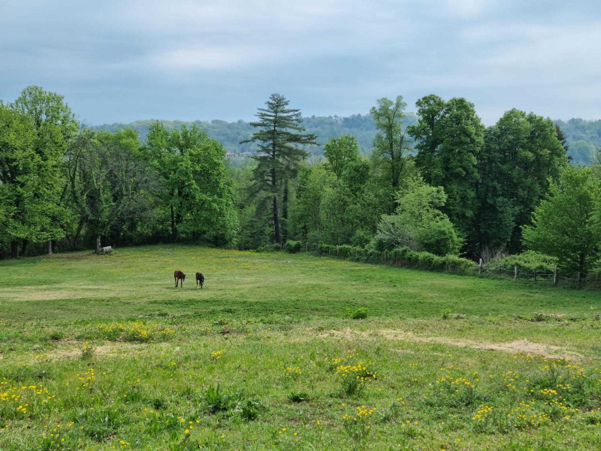 Agriturismo Pastorelli Osmate Εξωτερικό φωτογραφία