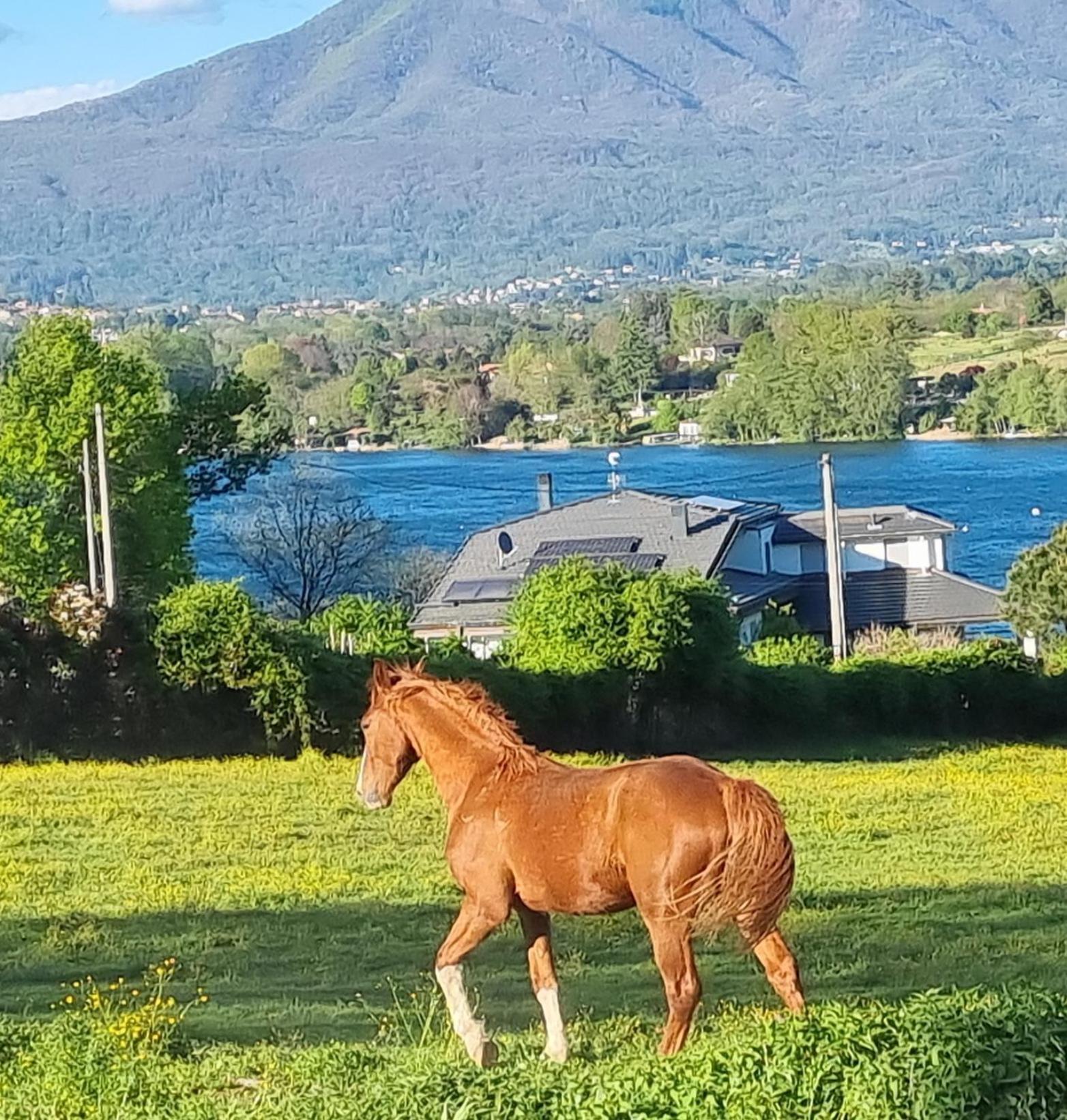 Agriturismo Pastorelli Osmate Εξωτερικό φωτογραφία